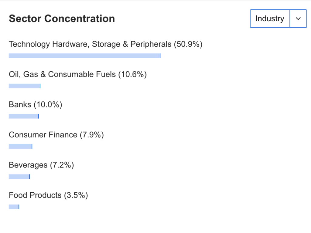 Berkshire Hathaway Major Sector Concentration.